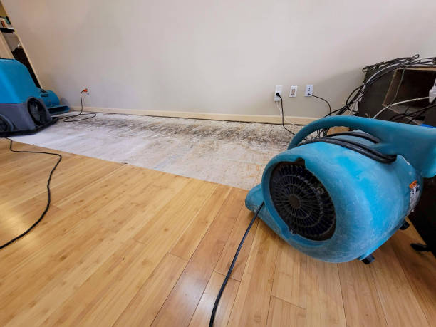 Professional Flood Damage Cleanup technician working in Anderson Island, WA